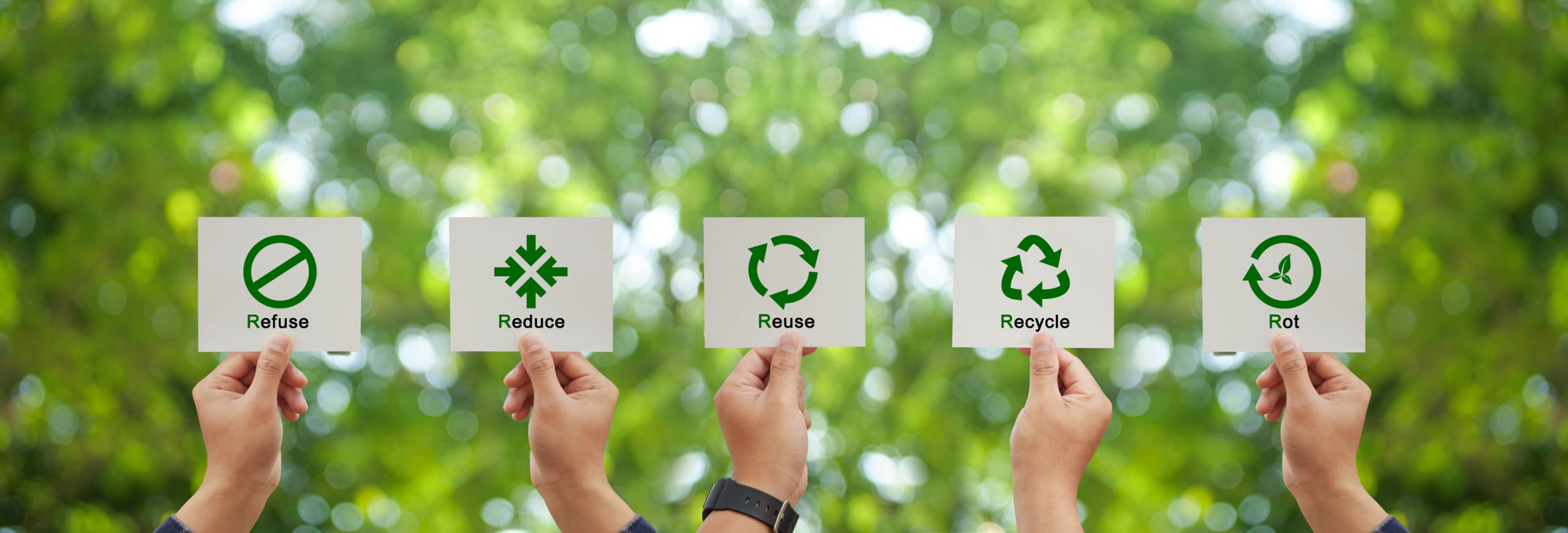 Eco-Label Clef Verte | GettyImages 1764523562 scaled GettyImages 1764523562 scaled